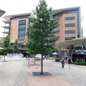 Clay pavers have been used at the new Loftus Park precinct in Pretoria.